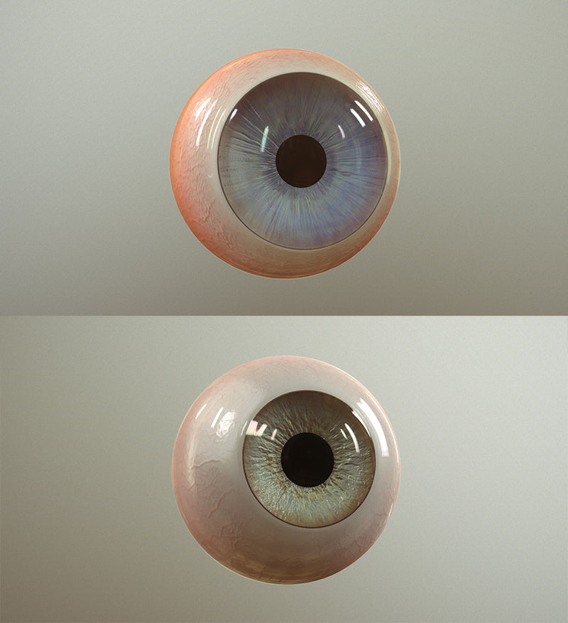 The Multi-Eye ZTool