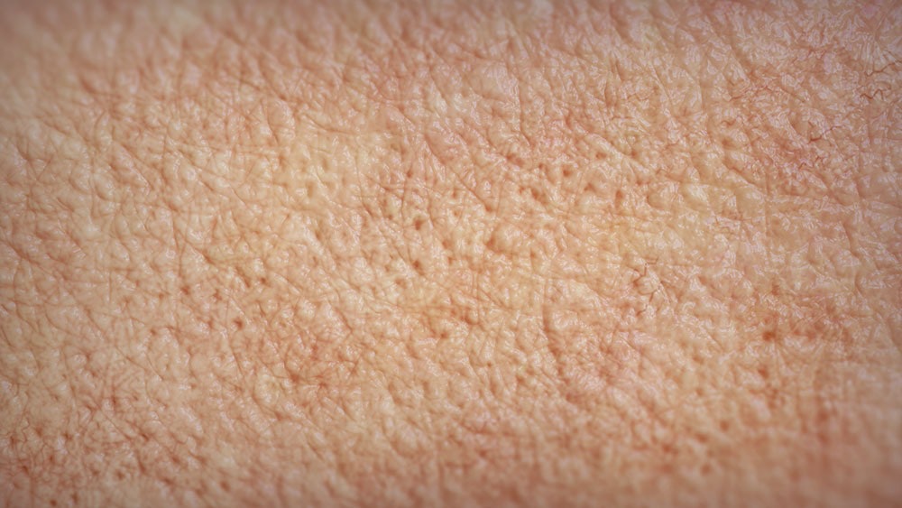 ZBrush Skin Brushes Pack