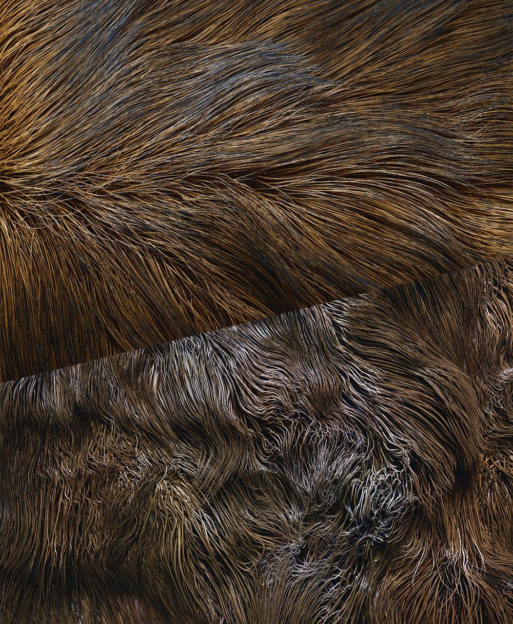 FiberMesh Grooming Kit