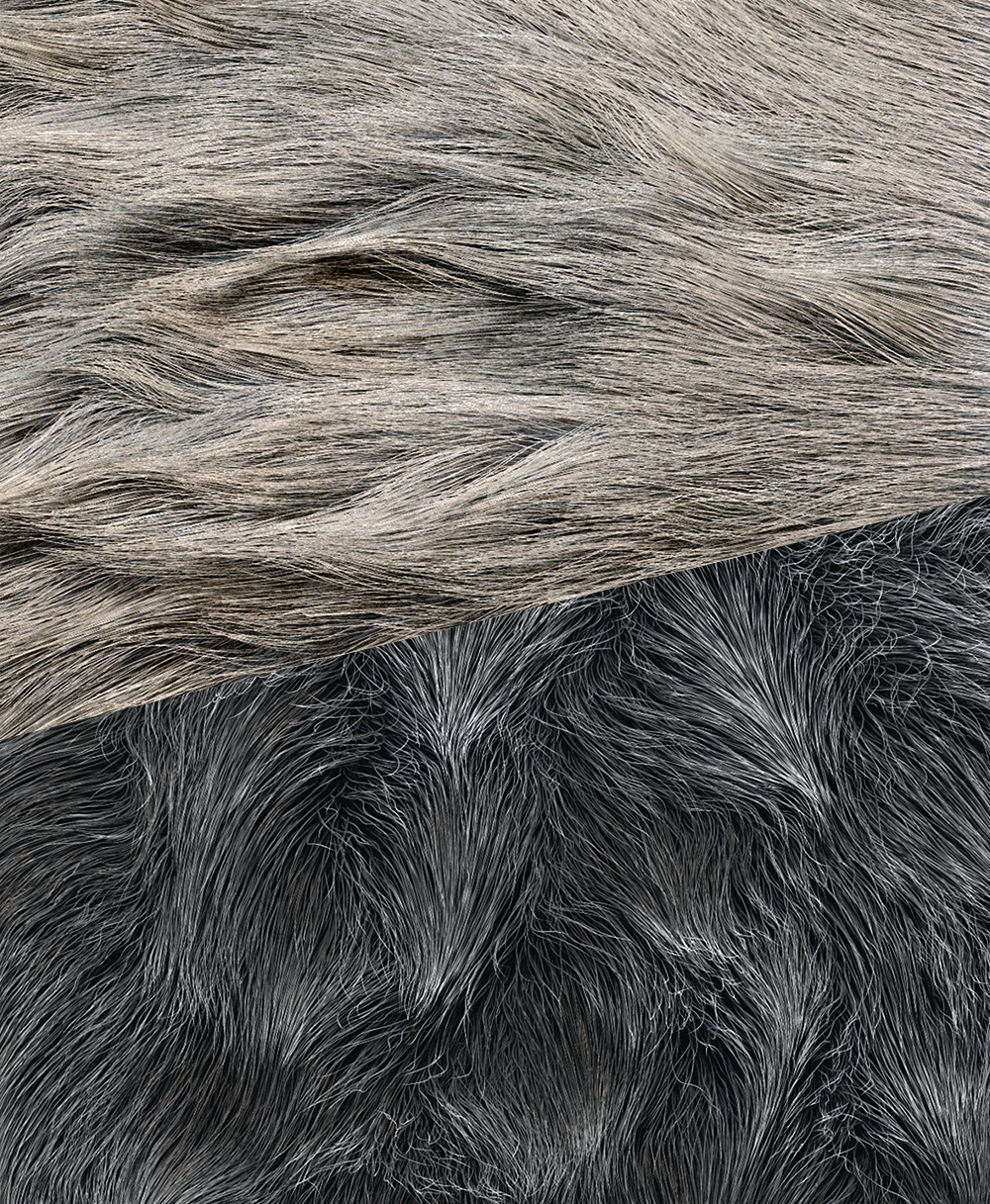 FiberMesh Grooming Kit