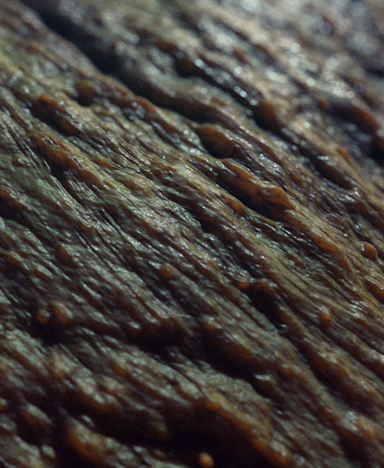 Creature Texture and Skin Brushes Pack