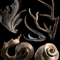 Horns & Antlers Pack