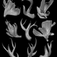 Horns & Antlers Pack