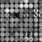 Bark & Wood brushes pack