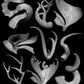 Horns & Antlers Pack