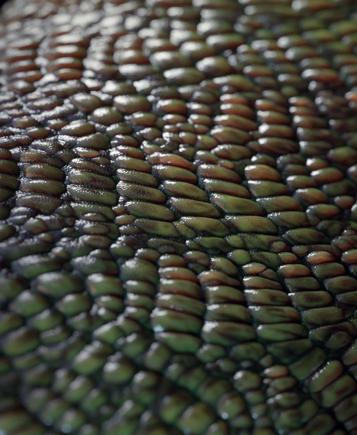 Scales Brushes Pack