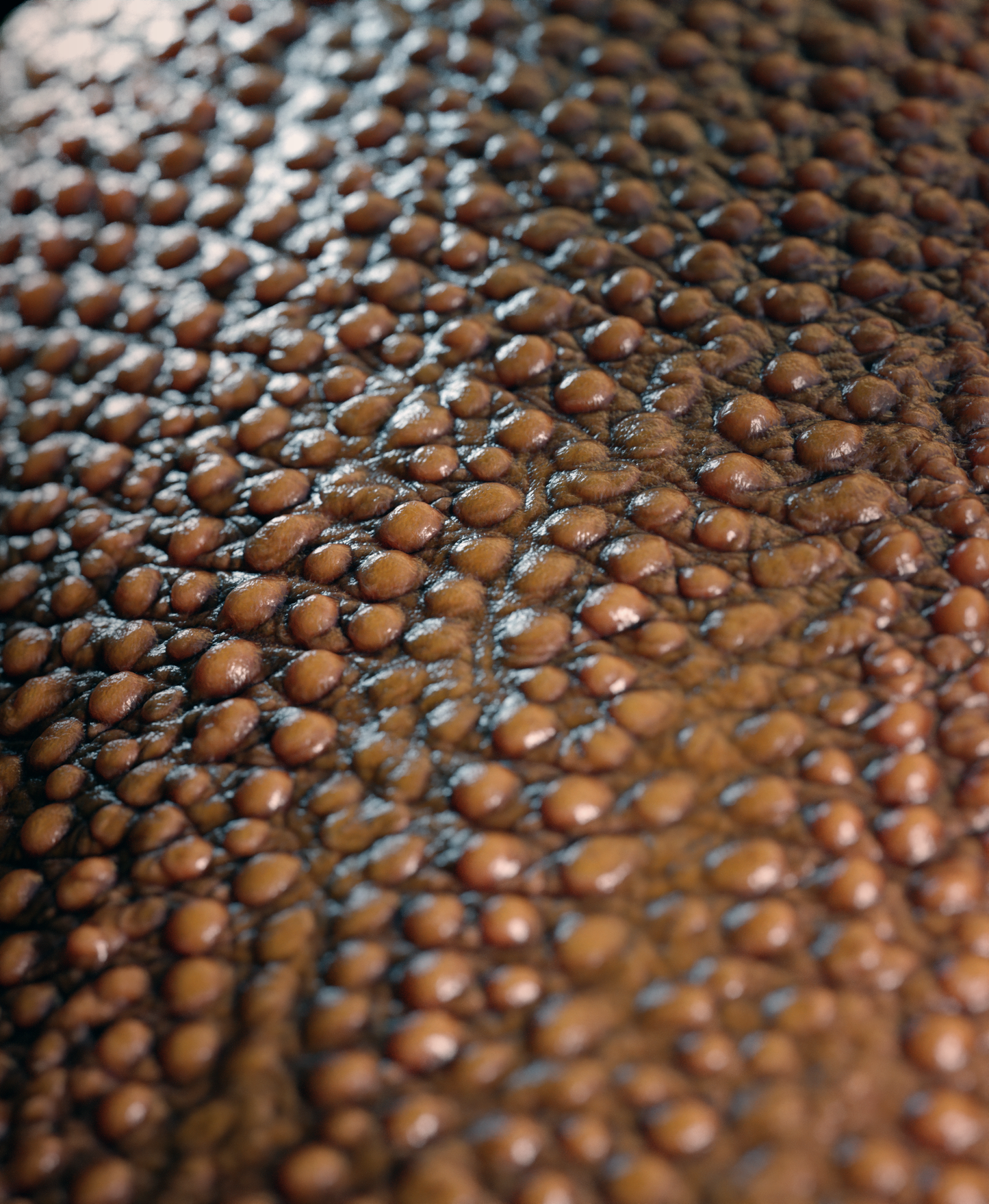Scales Brushes Pack