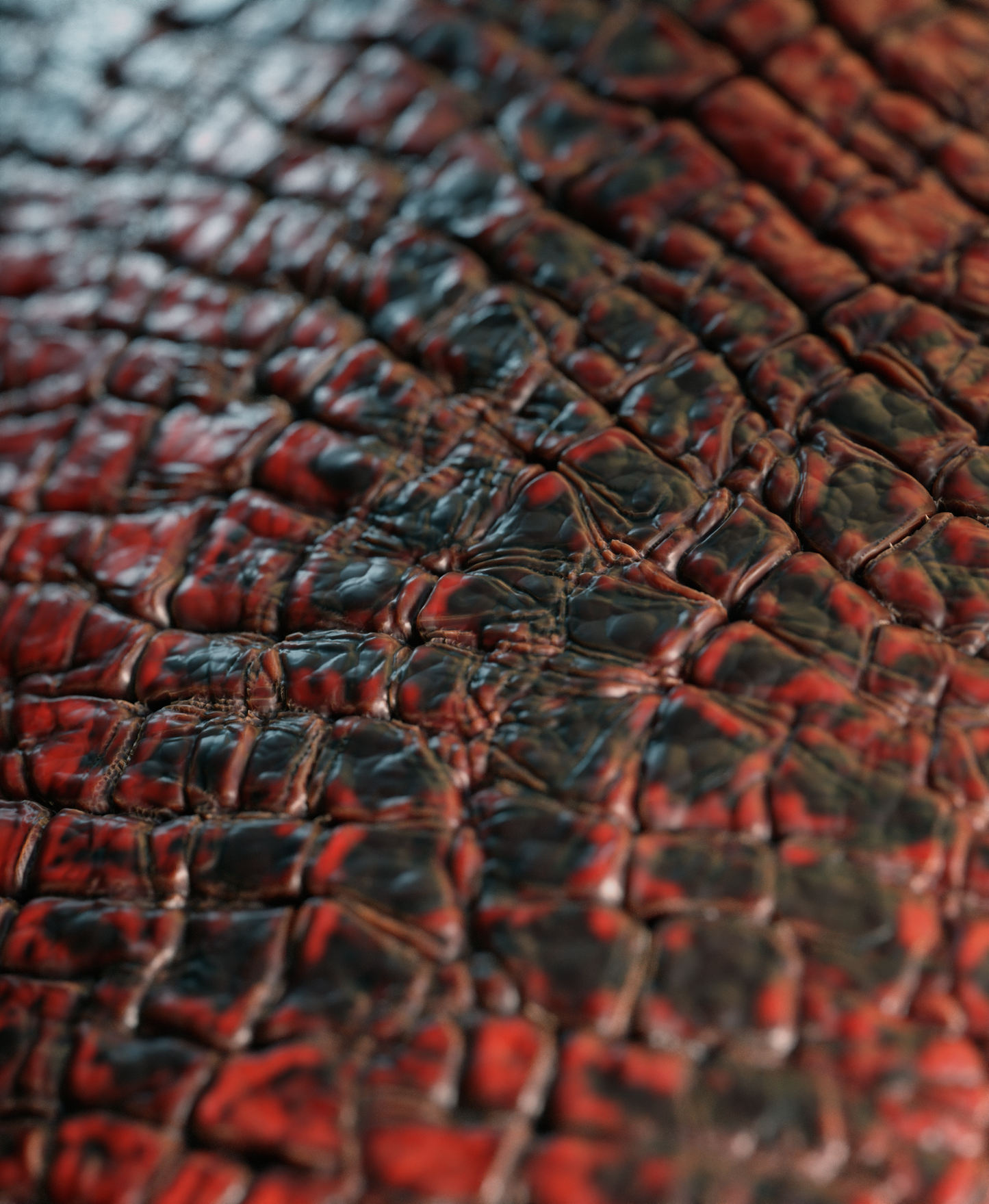 Scales Brushes Pack