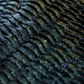 Scales Brushes Pack