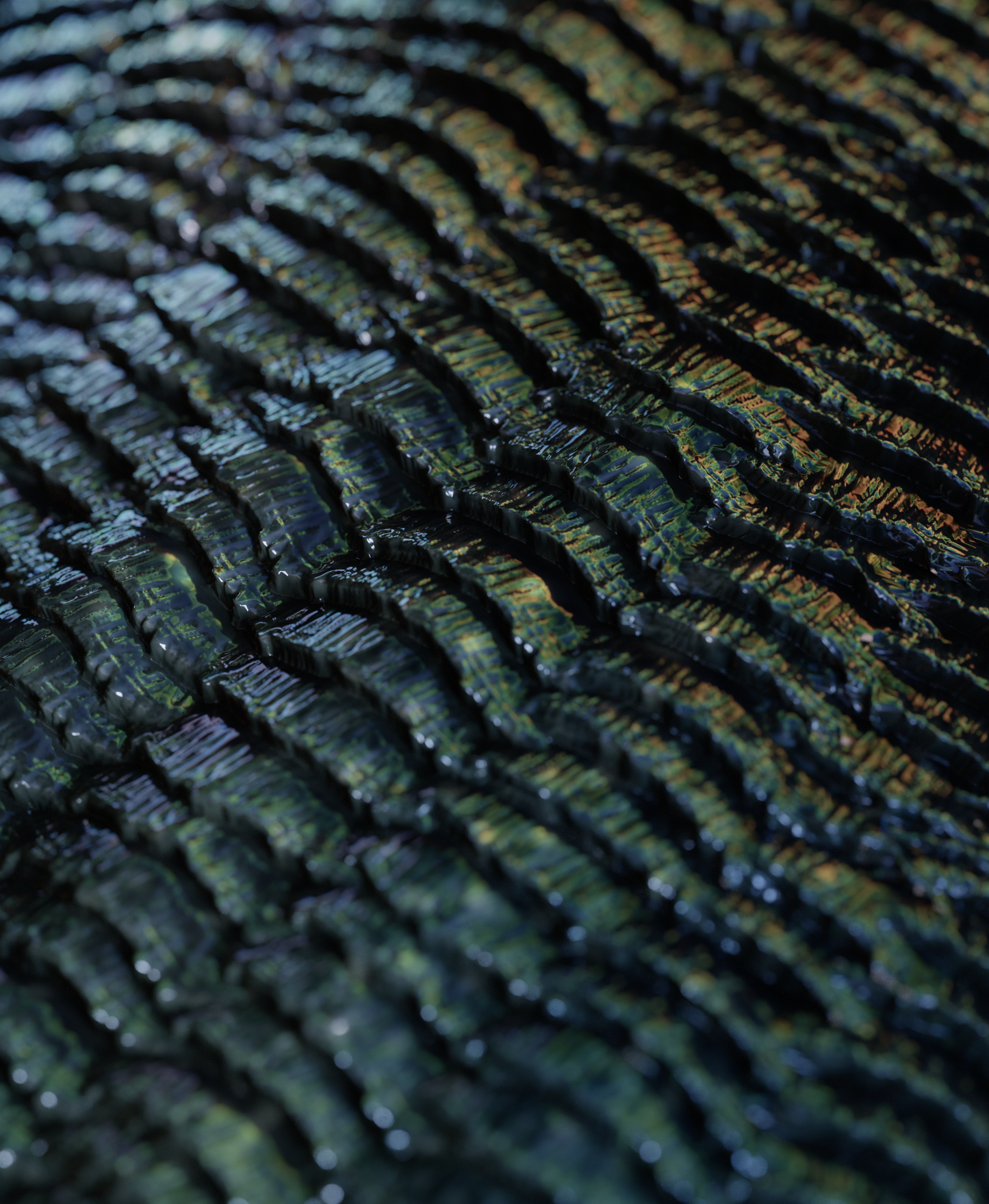 Scales Brushes Pack