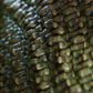 Scales Brushes Pack