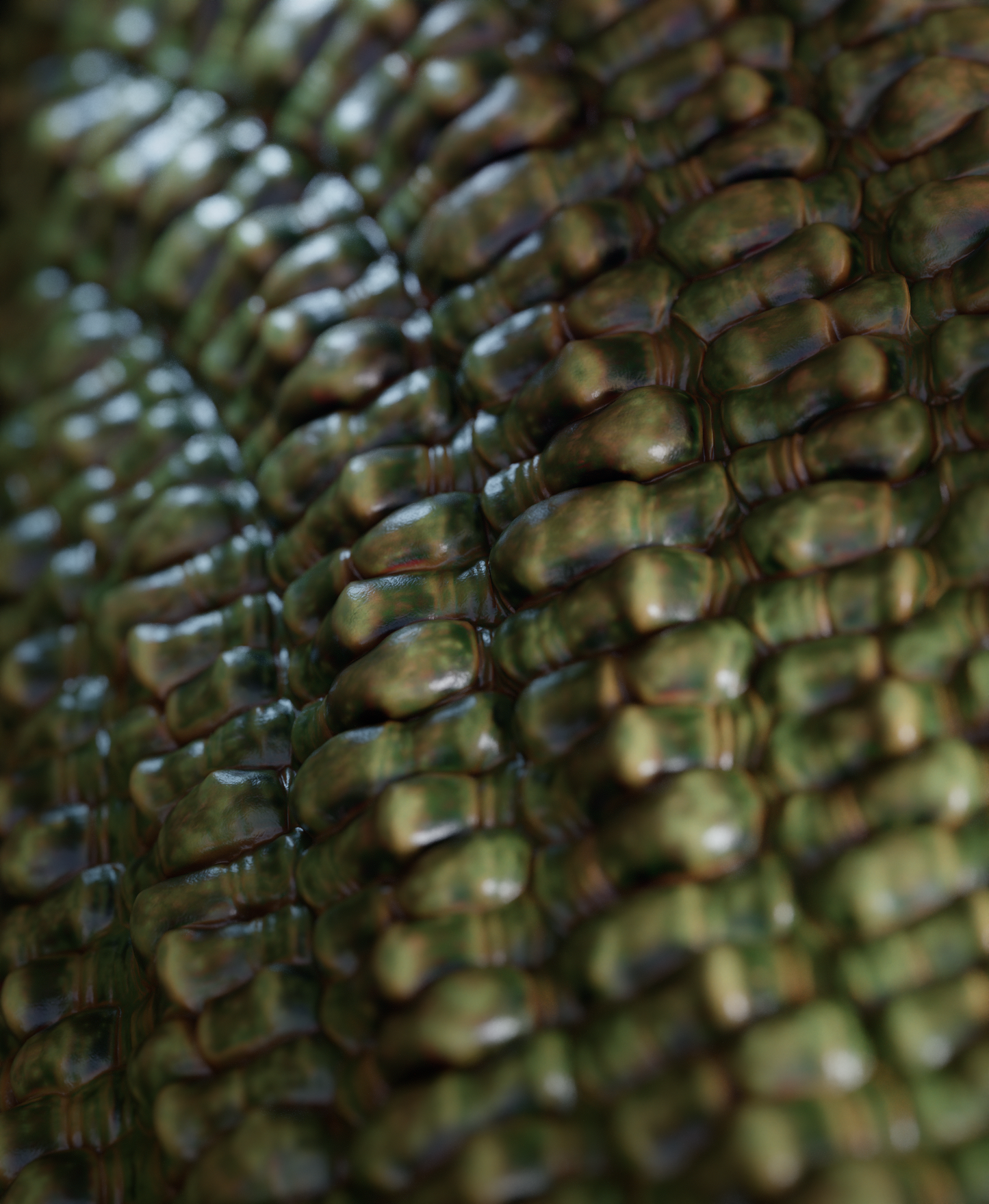 Scales Brushes Pack