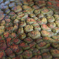 Scales Brushes Pack