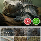 Scales Brushes Pack