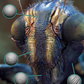 Insect Detailing Brushes for ZBrush