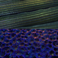 Insect Detailing Brushes for ZBrush