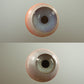 The Multi-Eye ZTool