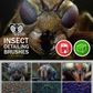 Insect Detailing Brushes for ZBrush