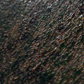 Creature Texture and Skin Brushes Pack