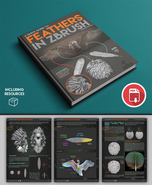 A Guide to: Creating Feathers in ZBrush